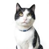 Hills Prescription Diet i/d Digestive Care Cat Food-5