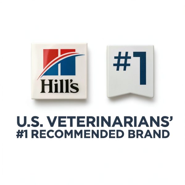 Hills Urinary Care Cat Food Stew Chicken Vegetable Rice-5