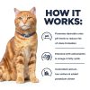Hills Urinary Care Cat Food Stew Chicken Vegetable Rice-7