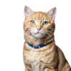 Hills Prescription Diet Cat Food Urinary Health Weight-6