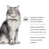 Hills Prescription Diet Cat Food Gastrointestinal Biome-8