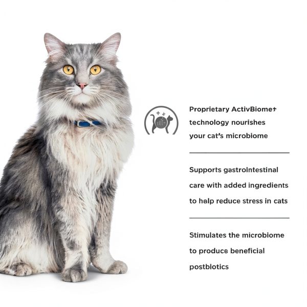 Hills Prescription Diet Cat Food Gastrointestinal Biome-8