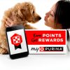 Purina Veterinary Diet Cat Food High Protein GI Support-2
