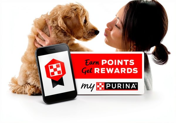 Purina Veterinary Diet Cat Food High Protein GI Support-2