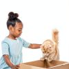 Hills Prescription Diet i/d Digestive Care Cat Food-11
