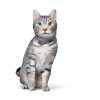 Hills Prescription Diet Metabolic Urinary Cat Food Weight-8