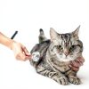 Blue Buffalo Veterinary Diet Alligator Cat Food Sensitive-6