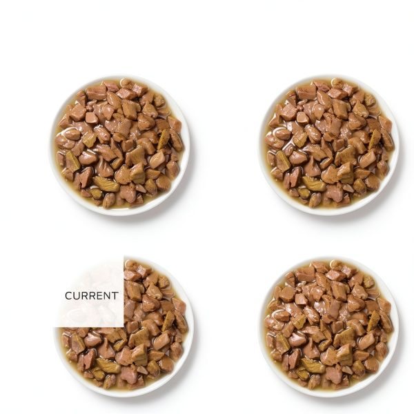 Purina Veterinary Diets Cat Food GI Support High-7