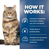 Hills Prescription Diet Cat Food Gastrointestinal Health-9