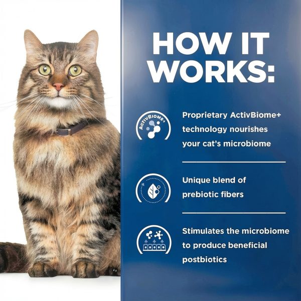 Hills Prescription Diet Cat Food Gastrointestinal Health-9