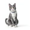 Hills Brain Care jd Cat Food Cognitive Mobility Support-7