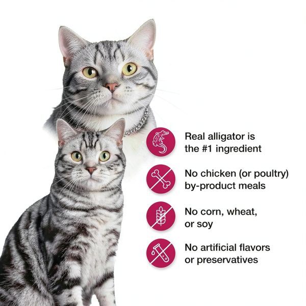 Blue Buffalo Veterinary Diet Alligator Cat Food Sensitive-5