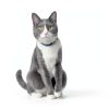 Hills Brain Care jd Cat Food Cognitive Mobility Support-4