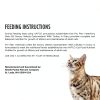 Purina Veterinary Diets Digestive Cat Food GI Support-7