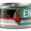 Purina Veterinary Diets Cat Food GI Support High-0