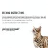 Purina Veterinary Diets Cat Food GI Support High-8