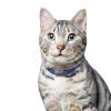 Hills Prescription Diet Metabolic Urinary Cat Food Weight-7