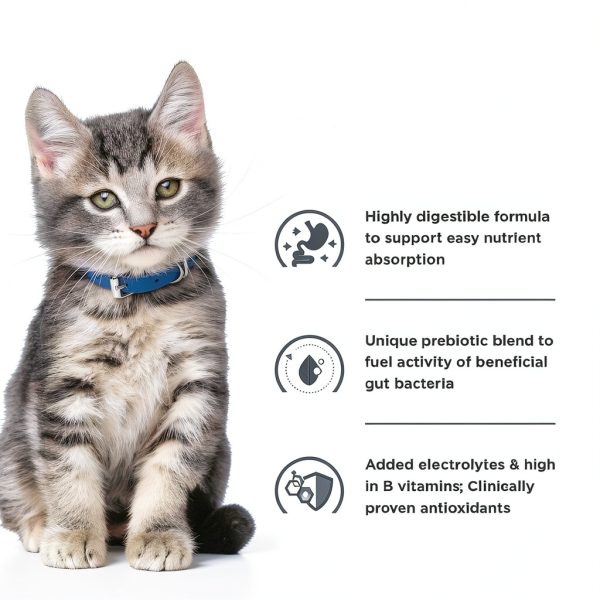 Hills Prescription Diet i/d Kitten Wet Food Digestive Health-6