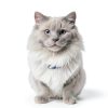 Hills Prescription Diet r/d Weight Reduction Cat Food-6