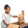 Hills Prescription Diet i/d Kitten Digestive Care Dry Food-10
