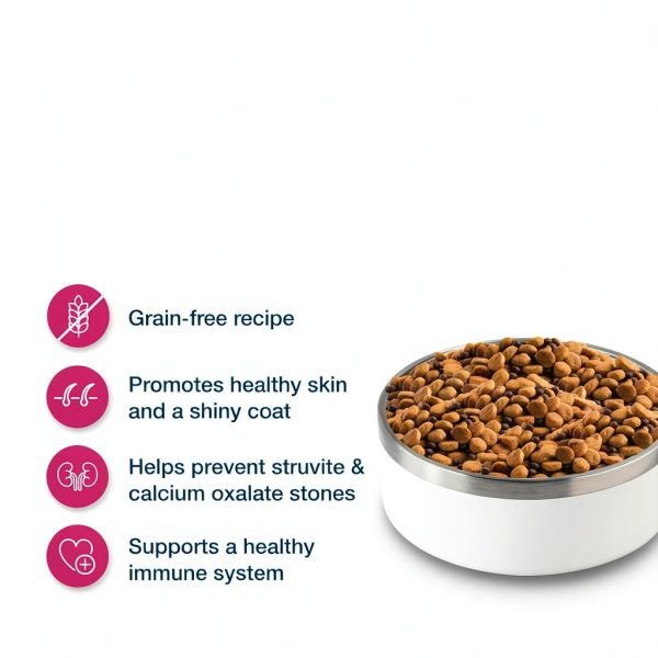 Blue Buffalo Veterinary Diet Alligator Cat Food Sensitive-2