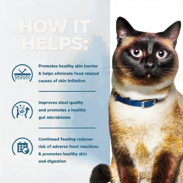 Hills zd Hydrolyzed Cat Food Sensitive Skin Digestion-4