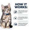 Hills Prescription Diet i/d Kitten Digestive Care Dry Food-4