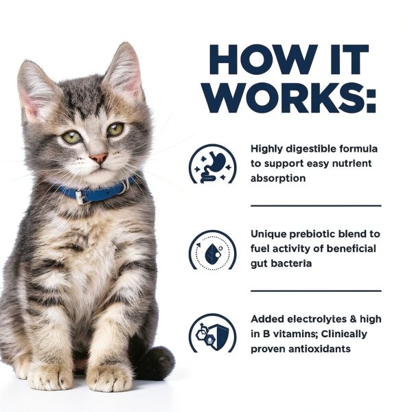 Hills Prescription Diet i/d Kitten Digestive Care Dry Food-4
