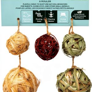 Oxbow Animal Health LLC Small Pet Toys-0