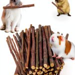 Petawi Apple Chew Sticks Small Animal Dental Toy-0