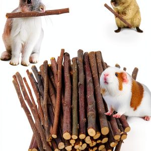 Petawi Apple Chew Sticks Small Animal Dental Toy-0