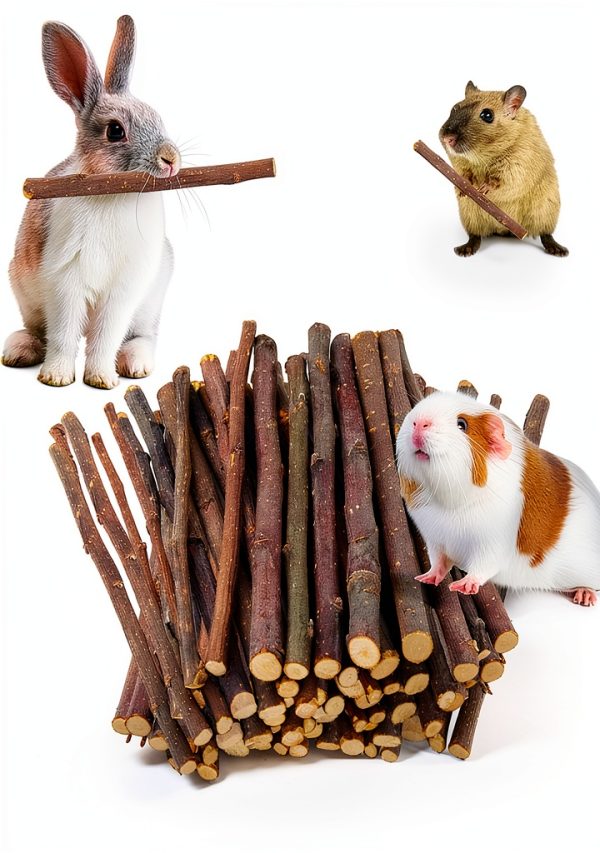 Petawi Apple Chew Sticks Small Animal Dental Toy-0