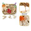 Rabbit Chew Toys by XLpeixin Pet Supplies-3