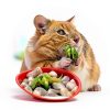 Petawi Apple Chew Sticks Small Animal Dental Toy-4