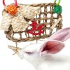 Rabbit Chew Toys by XLpeixin Pet Supplies-6