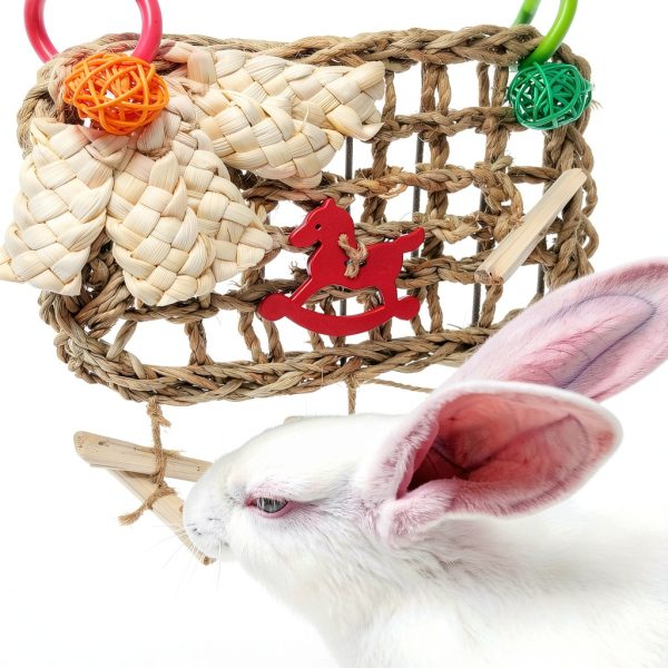 Rabbit Chew Toys by XLpeixin Pet Supplies-6