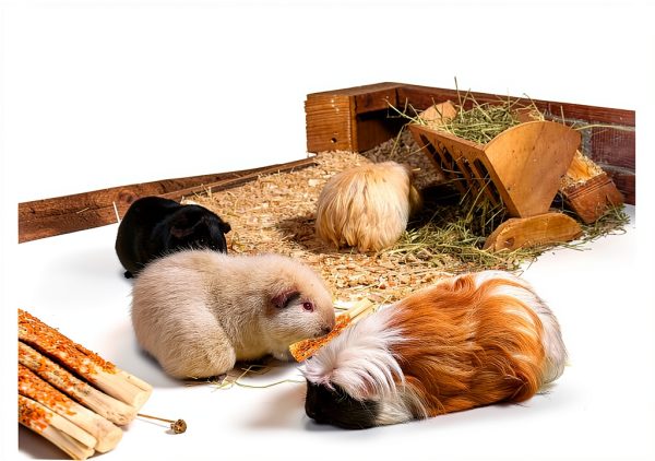 FiveBull Natural Apple Sticks Animal Chew Toy Set 6 Wood + 4 Bamboo-4