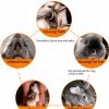 Petawi Apple Chew Sticks Small Animal Dental Toy-3