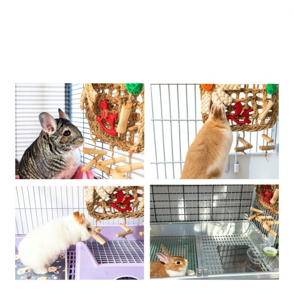 Rabbit Chew Toys by XLpeixin Pet Supplies-2