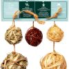 Oxbow Animal Health LLC Small Pet Toys-1