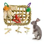 Rabbit Chew Toys by XLpeixin Pet Supplies-0