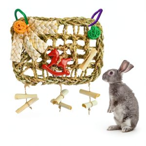 Rabbit Chew Toys by XLpeixin Pet Supplies-0