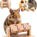 AOWPFVV Hamster Chew Toy Natural Wood Small Animal-0