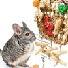 Rabbit Chew Toys by XLpeixin Pet Supplies-5