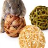 Rabbit Chew Ball Luffy Pets Natural Fiber Toy-1