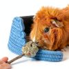 Oxbow Apple Stick Chews for Small Pets-4