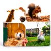 FiveBull Natural Apple Sticks Animal Chew Toy Set 6 Wood + 4 Bamboo-3
