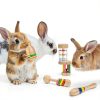 Wood Rabbit Toys by MEWTOGO Pet Supplies-3