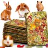 Grembeb Rabbit Chew Toys for Small Pets-0