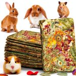 Grembeb Rabbit Chew Toys for Small Pets-0